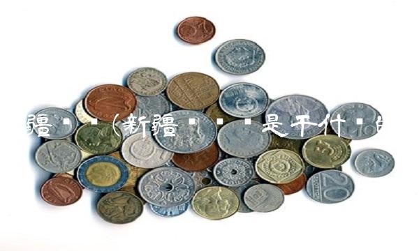 新疆总值(新疆总值办是干什么的)