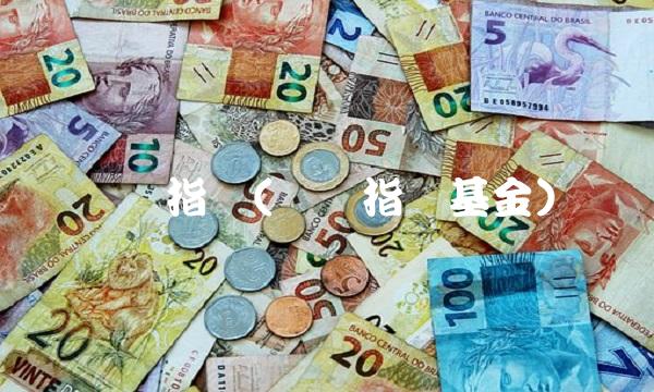 优选指数(优选指数基金)