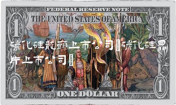 碳化硅龙头上市公司(碳化硅晶片上市公司)