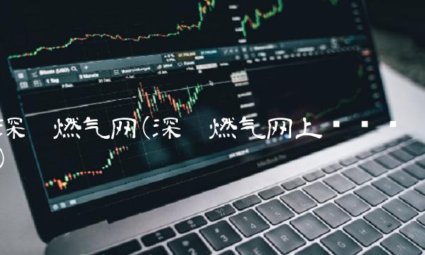 深圳燃气网(深圳燃气网上营业厅)