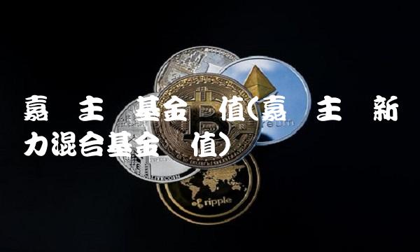 嘉实主题基金净值(嘉实主题新动力混合基金净值)