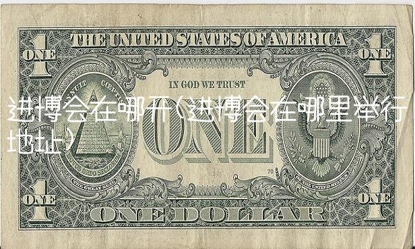 进博会在哪开(进博会在哪里举行地址)
