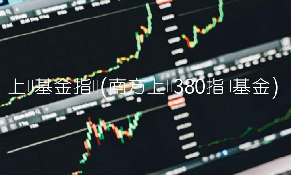 上证基金指数(南方上证380指数基金)