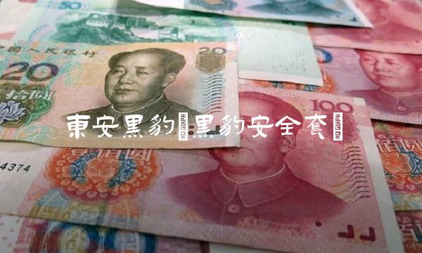 东安黑豹(黑豹安全套)(2)