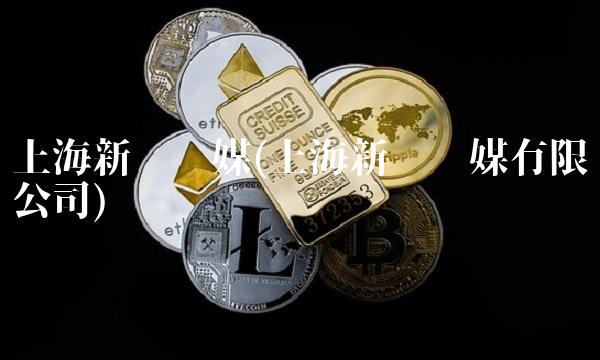 上海新华传媒(上海新华传媒有限公司)