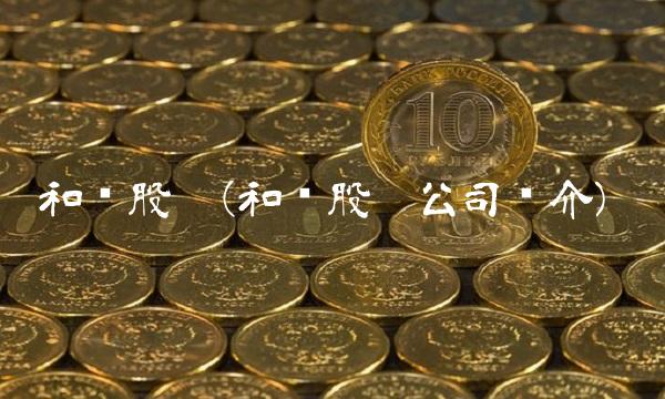 和胜股份(和胜股份公司简介)