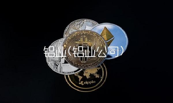 铝业(铝业公司)