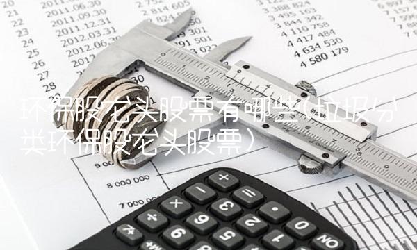 环保股龙头股票有哪些(垃圾分类环保股龙头股票)