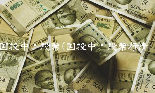 国投中鲁股票(国投中鲁股票行情)