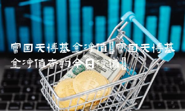 富国天博基金净值(富国天博基金净值查询今日净值)