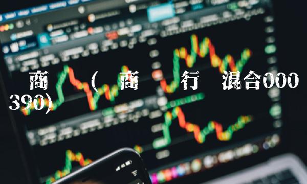 华商优势(华商优势行业混合000390)