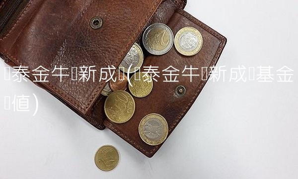 国泰金牛创新成长(国泰金牛创新成长基金净值)