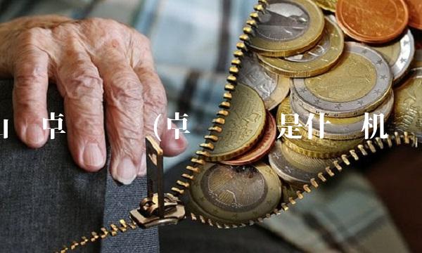 山东卓创资讯(卓创资讯是什么机构)