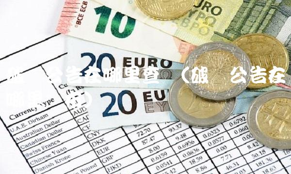 破产公告在哪里查询(破产公告在哪里发布)