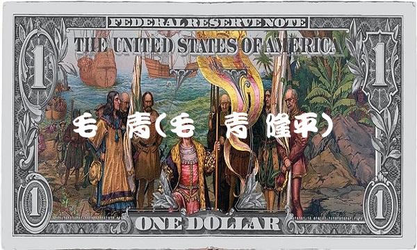 毛长青(毛长青 隆平)