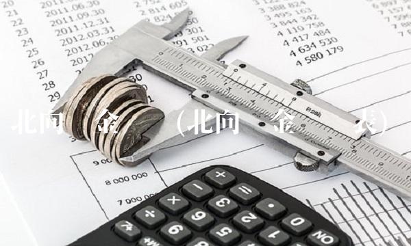 北向资金查询(北向资金查询表)