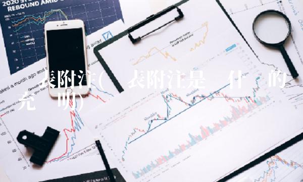 报表附注(报表附注是对什么的补充说明)