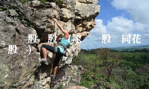 丰华股份股吧(翔丰华股份同花顺股吧)