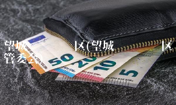 望城经济开发区(望城经济开发区管委会)(1)