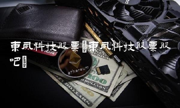 东风科技股票(东风科技股票股吧)