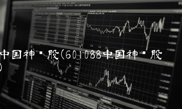 中国神华股(601088中国神华股吧)(1)