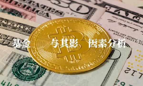 基金净值与其影响因素分析