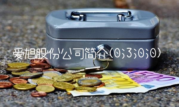 爱旭股份公司简介(0;3;0;0)