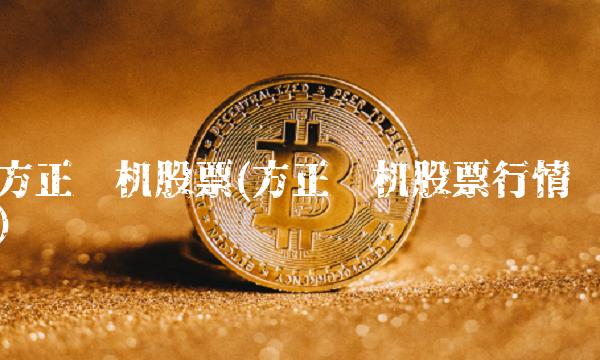 方正电机股票(方正电机股票行情)