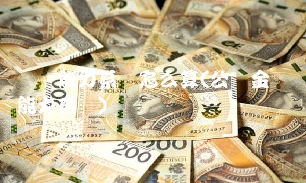 还贷能力系数怎么算(公积金还贷能力系数)