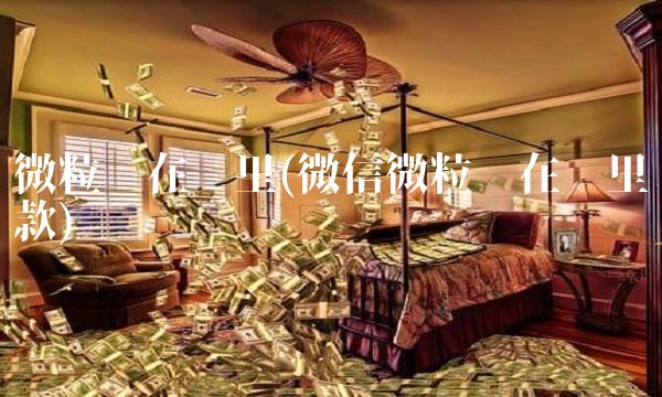 微粒贷在哪里(微信微粒贷在哪里还款)