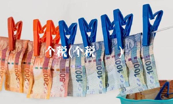 个税(个税查询)