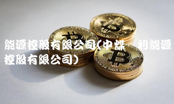 能源控股有限公司(中煤华利能源控股有限公司)