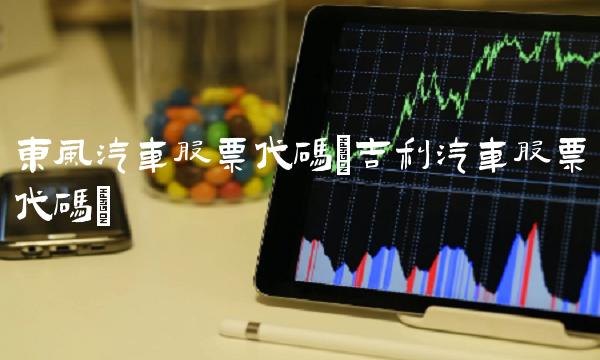 东风汽车股票代码(吉利汽车股票代码)
