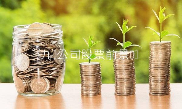九号公司股票前景预测