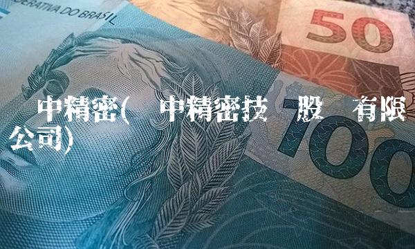 凯中精密(凯中精密技术股份有限公司)