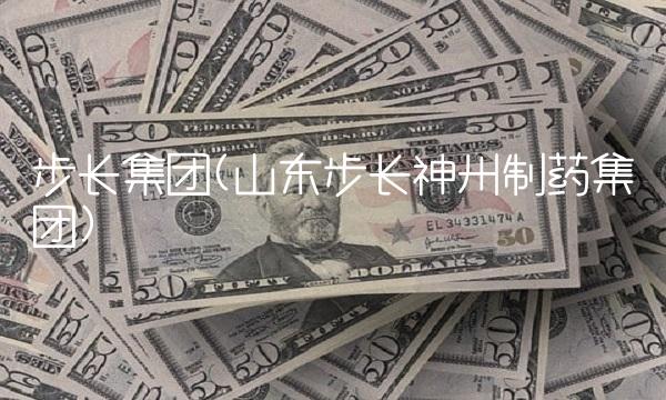 步长集团(山东步长神州制药集团)(1)