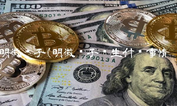 明微电子(明微电子发生什么事情)