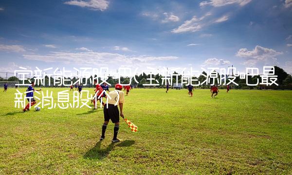 宝新能源股吧(宝新能源股吧最新消息股价)