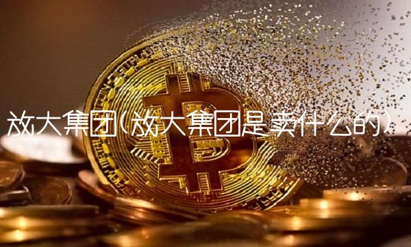 放大集团(放大集团是卖什么的)