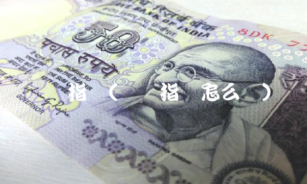 国债指数(国债指数怎么选)