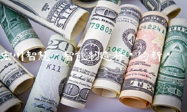 宏川智慧：智能制造行业的新宠