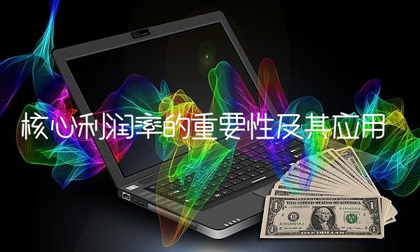 核心利润率的重要性及其应用