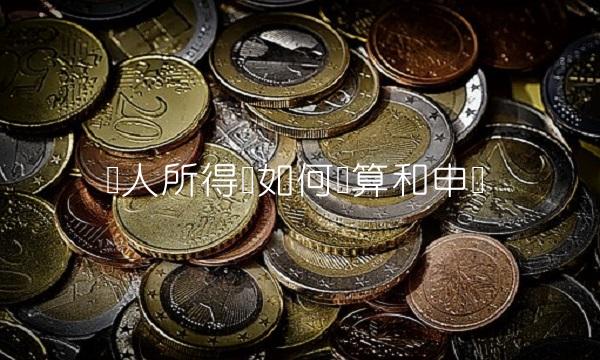 个人所得税如何计算和申报