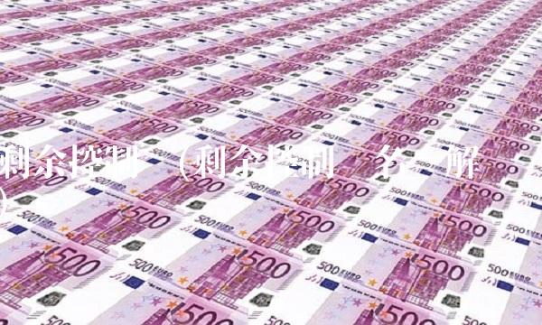 剩余控制权(剩余控制权名词解释)