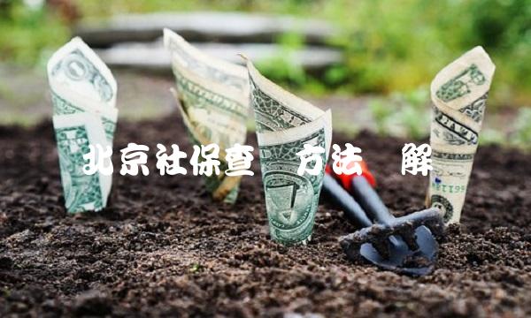 北京社保查询方法详解
