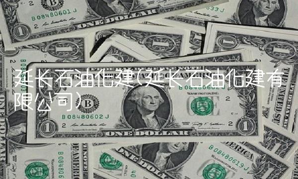 延长石油化建(延长石油化建有限公司)(1)