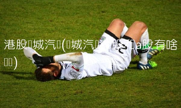 港股长城汽车(长城汽车港股和a股有啥区别)
