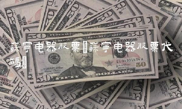 苏宁电器股票(苏宁电器股票代码)