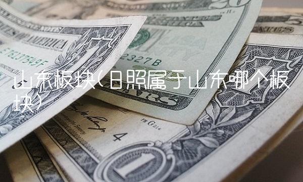 山东板块(日照属于山东哪个板块)