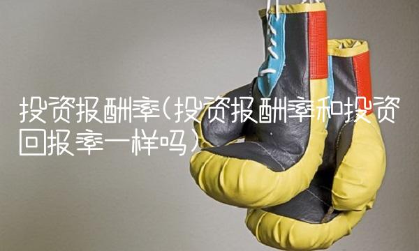 投资报酬率(投资报酬率和投资回报率一样吗)